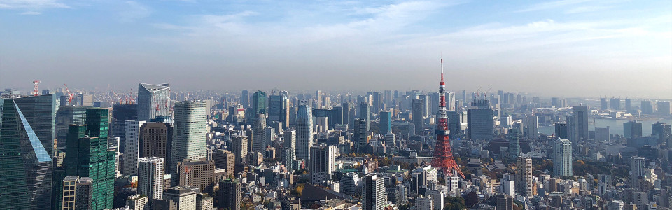 【新宿区】相続税対策で不動産を活用するメリット・デメリットと活用事例